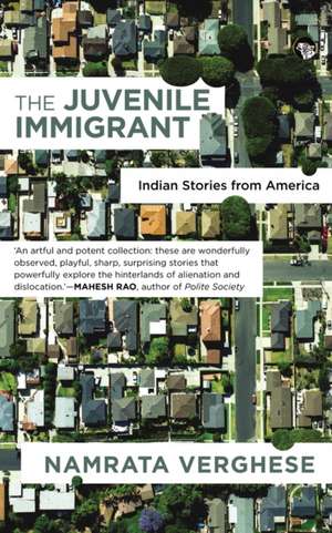 The Juvenile Immigrant de Namrata Verghese