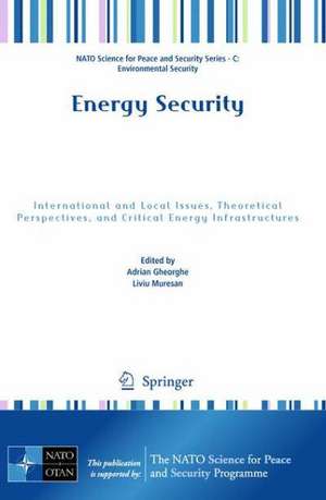 Energy Security: International and Local Issues, Theoretical Perspectives, and Critical Energy Infrastructures de Adrian V. Gheorghe