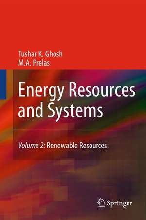 Energy Resources and Systems: Volume 2: Renewable Resources de Tushar K. Ghosh