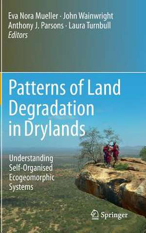 Patterns of Land Degradation in Drylands: Understanding Self-Organised Ecogeomorphic Systems de Eva Nora Mueller