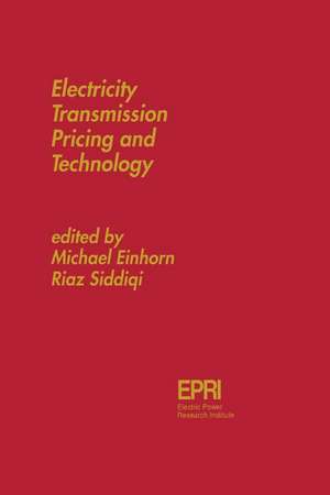 Electricity Transmission Pricing and Technology de A.F. Kalverboer