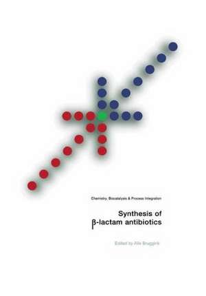 Synthesis of β-Lactam Antibiotics: Chemistry, Biocatalysis & Process Integration de Alle Bruggink