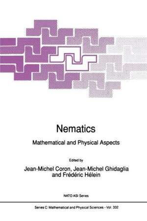 Nematics: Mathematical and Physical Aspects de Jean-Michel Coron
