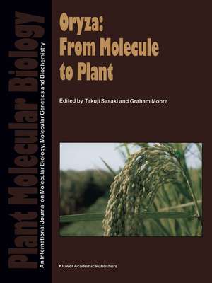 Oryza: From Molecule to Plant de Takuji Sasaki