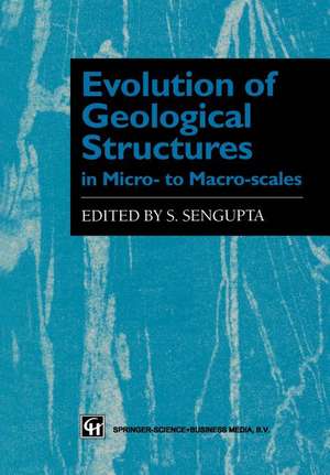 Evolution of Geological Structures in Micro- to Macro-scales de S. Sengupta