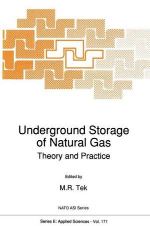 Underground Storage of Natural Gas: Theory and Practice de M. R. Tek