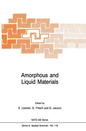 Amorphous and Liquid Materials de E. Lüscher