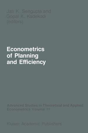 Econometrics of Planning and Efficiency de Jati Sengupta