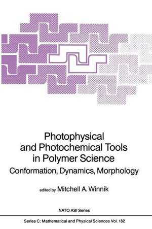 Photophysical and Photochemical Tools in Polymer Science: Conformation, Dynamics, Morphology de Mitchell A. Winnik