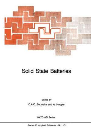 Solid State Batteries de César A.C. Sequeira