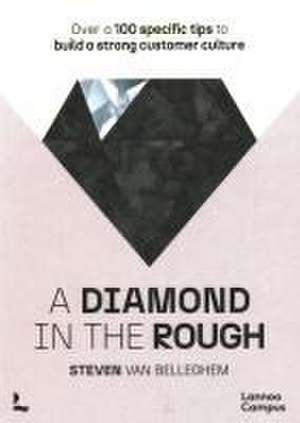 A diamond in the rough de Steven Van Belleghem