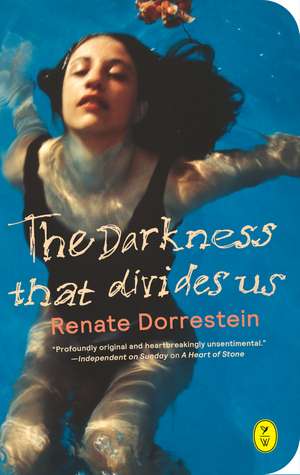 The Darkness That Divides Us de Renate Dorrestein