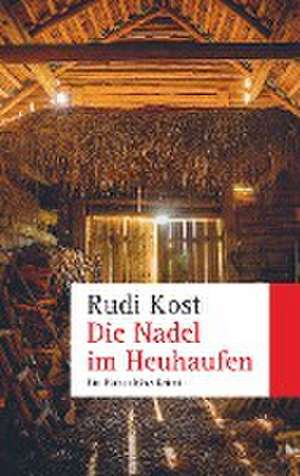 Die Nadel im Heuhaufen de Rudi Kost