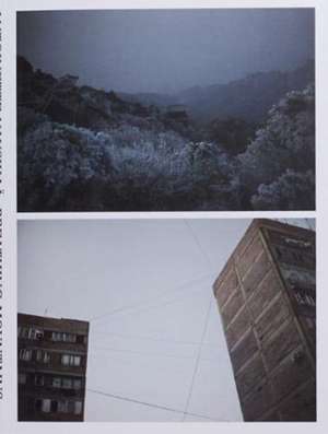 Breathing Mountains de Antoinette Nausikaa