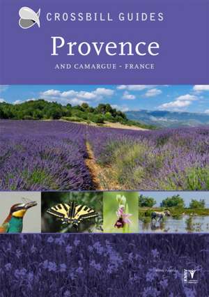 Provence de Albert Vliegenthart