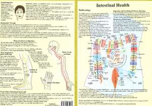 Intestinal Health -- Double Sided A4 de Jan van Baarle