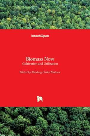 Biomass Now de Miodrag Darko Matovic