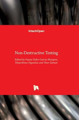 Non-Destructive Testing de Fausto Pedro García Márquez