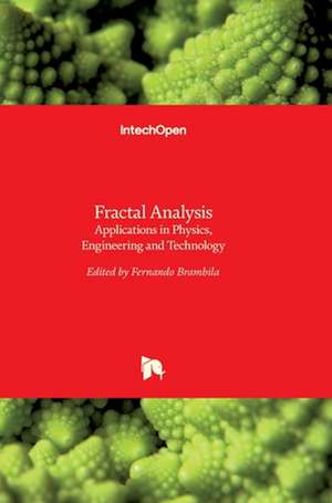 Fractal Analysis de Fernando Brambila