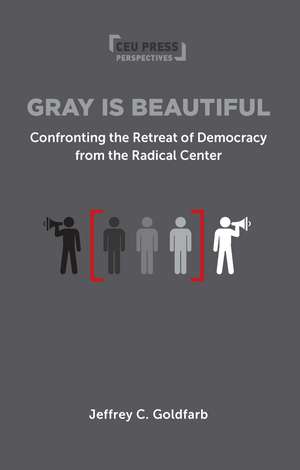 Gray is Beautiful: Confronting the Retreat of Democracy from the Radical Center de Jeffrey Goldfarb
