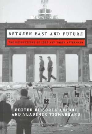 Between Past and Future de S. Antohi