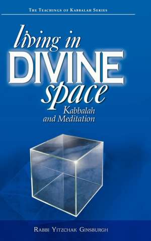 Living in Divine Space de Yitzchak Ginsburgh