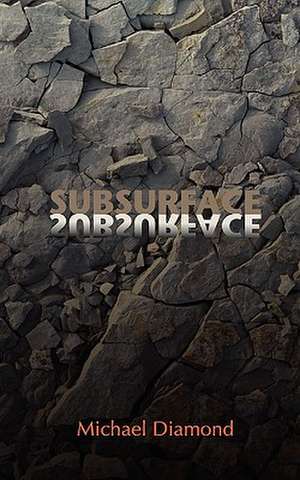 Subsurface de Michael Diamond