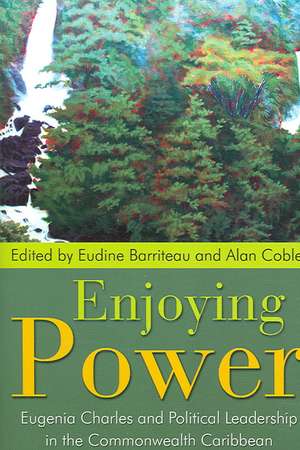 Enjoying Power de Eudine Barriteau