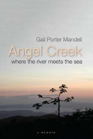 Angel Creek de Gail Porter Mandell