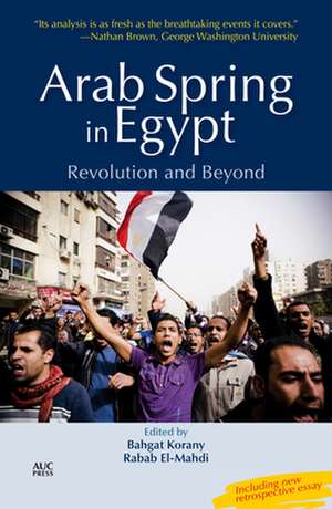 Arab Spring in Egypt: Revolution and Beyond de Bahgat Korany