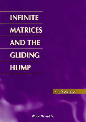 Infinite Matrices and the Gliding Hump, Matrix Methods in Analysis de Charles Swartz