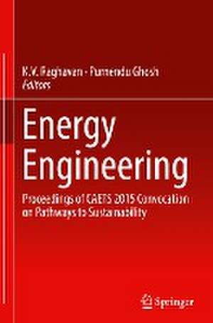 Energy Engineering: Proceedings of CAETS 2015 Convocation on Pathways to Sustainability de K.V. Raghavan