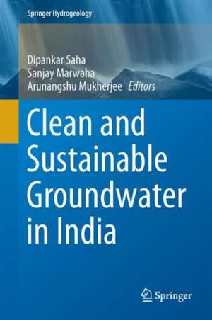 Clean and Sustainable Groundwater in India de Dipankar Saha