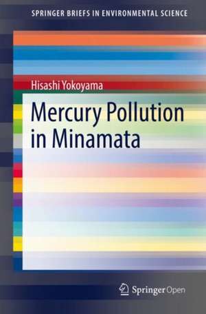 Mercury Pollution in Minamata de Hisashi Yokoyama