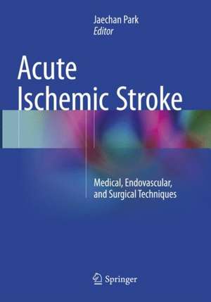 Acute Ischemic Stroke: Medical, Endovascular, and Surgical Techniques de Jaechan Park