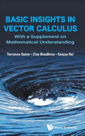 Basic Insights in Vector Calculus: With a Supplement on Mathematical Understanding de Terrance J Quinn