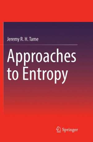 Approaches to Entropy de Jeremy R. H. Tame