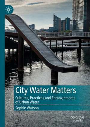 City Water Matters: Cultures, Practices and Entanglements of Urban Water de Sophie Watson