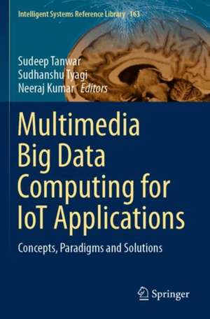 Multimedia Big Data Computing for IoT Applications: Concepts, Paradigms and Solutions de Sudeep Tanwar