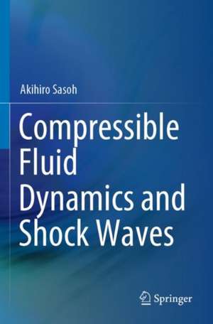 Compressible Fluid Dynamics and Shock Waves de Akihiro Sasoh