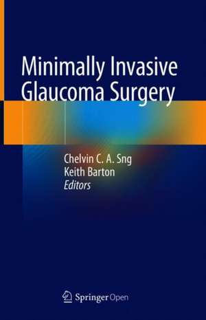 Minimally Invasive Glaucoma Surgery de Chelvin C. A. Sng