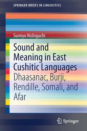 Sound and Meaning in East Cushitic Languages: Dhaasanac, Burji, Rendille, Somali, and Afar de Sumiyo Nishiguchi