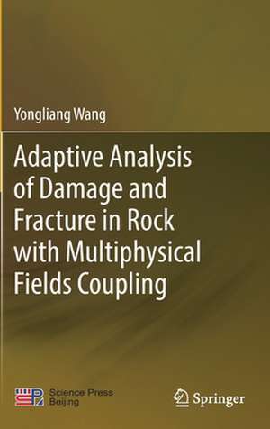 Adaptive Analysis of Damage and Fracture in Rock with Multiphysical Fields Coupling de Yongliang Wang