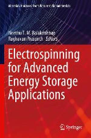 Electrospinning for Advanced Energy Storage Applications de Neethu T. M. Balakrishnan