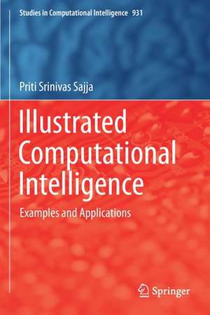 Illustrated Computational Intelligence: Examples and Applications de Priti Srinivas Sajja