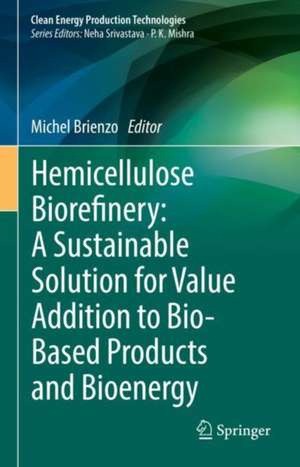 Hemicellulose Biorefinery: A Sustainable Solution for Value Addition to Bio-Based Products and Bioenergy de Michel Brienzo