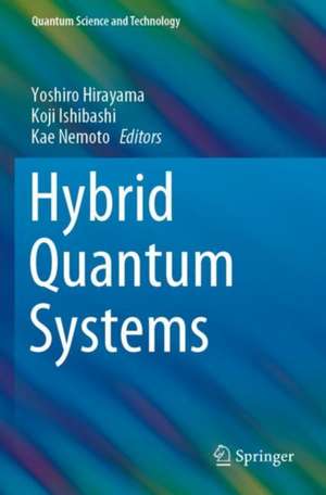 Hybrid Quantum Systems de Yoshiro Hirayama