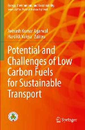 Potential and Challenges of Low Carbon Fuels for Sustainable Transport de Avinash Kumar Agarwal