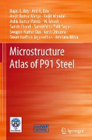 Microstructure Atlas of P91 Steel de Rajat K. Roy