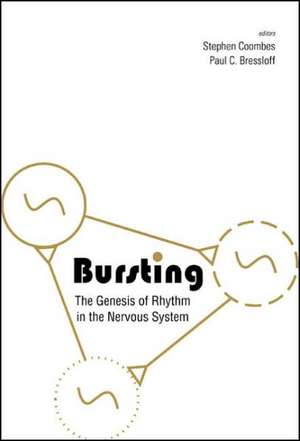 Bursting: The Genesis of Rhythm in the Nervous System de Stephen Coombes